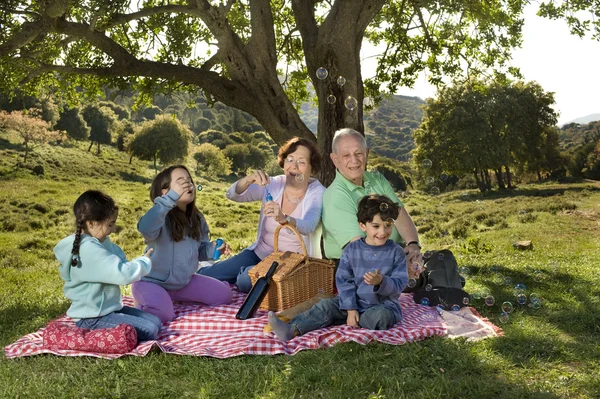 Großeltern-Enkel-Picknick — Stockfoto
