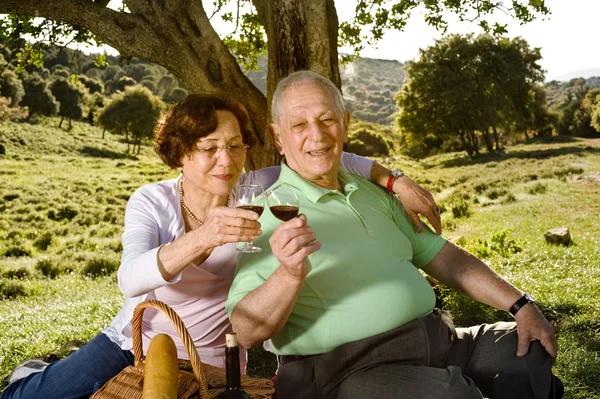 Старшая пара устраивает пикник — стоковое фото