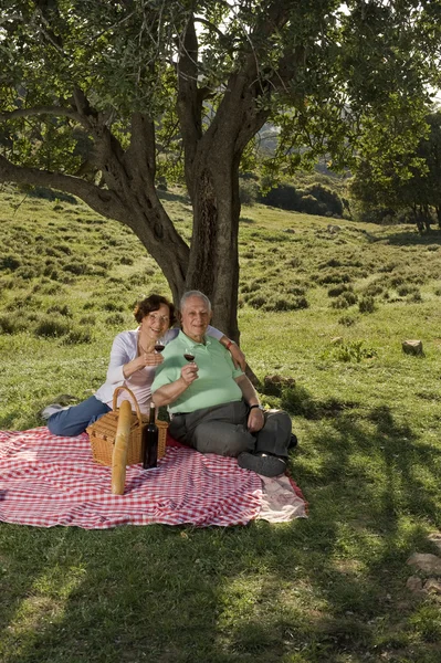 Starší pár, na pikniku — Stock fotografie