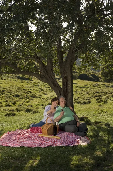 Äldre par har picknick — Stockfoto