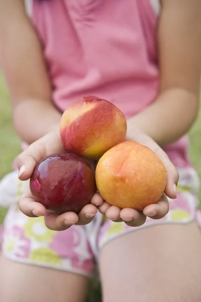 Drie nectarines in kind handen — Stockfoto
