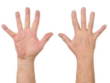 Male hands counting clipart