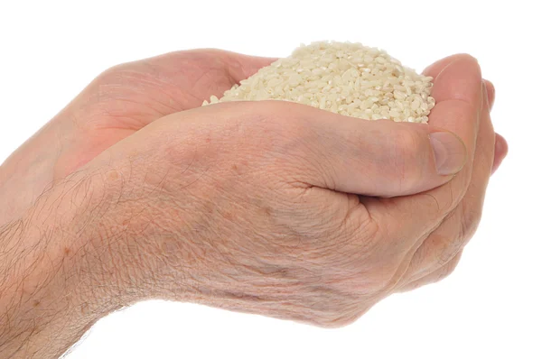 stock image Hands holding rice