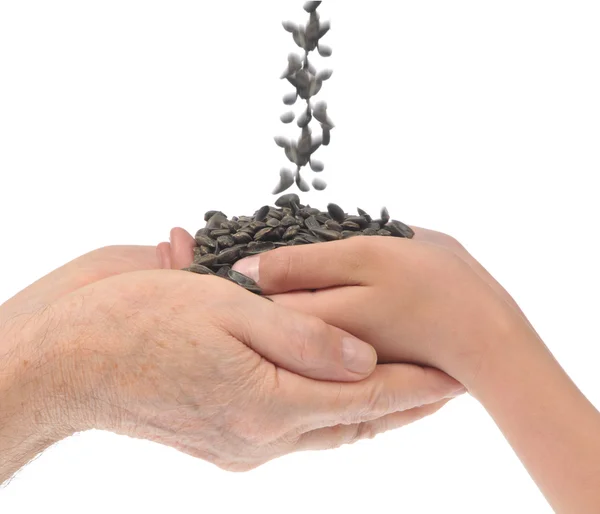 Stock image Grandfather and grandchild hands