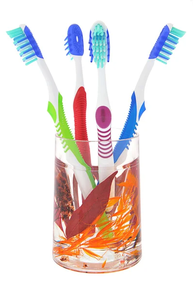 Quatro escova de dentes iv vidro decorativo — Fotografia de Stock