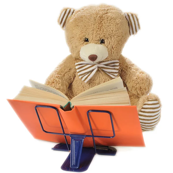 Фаршированный медведь читает книгу — стоковое фото