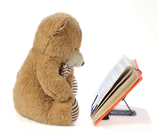 Stoffbär liest ein Buch — Stockfoto