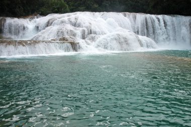 şelale agua azul Meksika