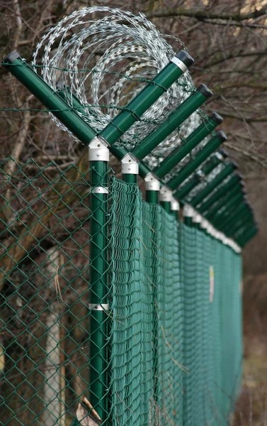 Green wire fence around trees — Stock Photo, Image