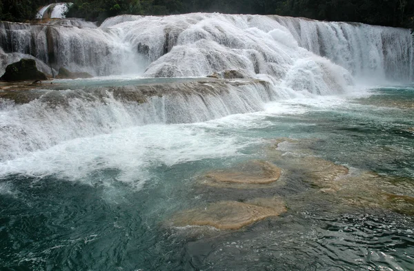 Waterfall Agua Azul Mexico — Stock Photo, Image
