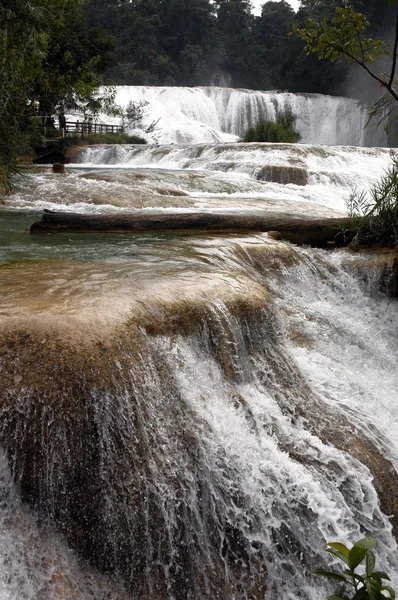 滝アグア アズール メキシコ — ストック写真