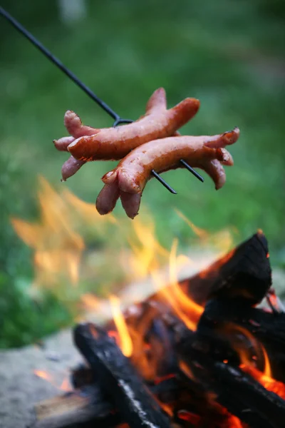 Assar salsichas na fogueira no jardim — Fotografia de Stock