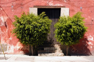 oaxaca Meksika Sokağı