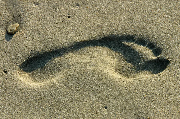 Stock image Footprint in sand in Puerto Escondido, Mexico