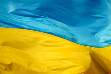 Flag of the Ukraine clipart