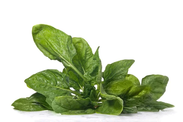 Grüner Spinat isoliert auf weißem — Stockfoto