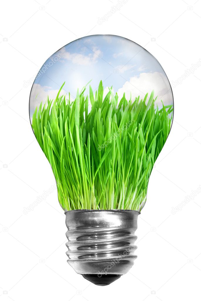 Light bulb with summer meadow inside i