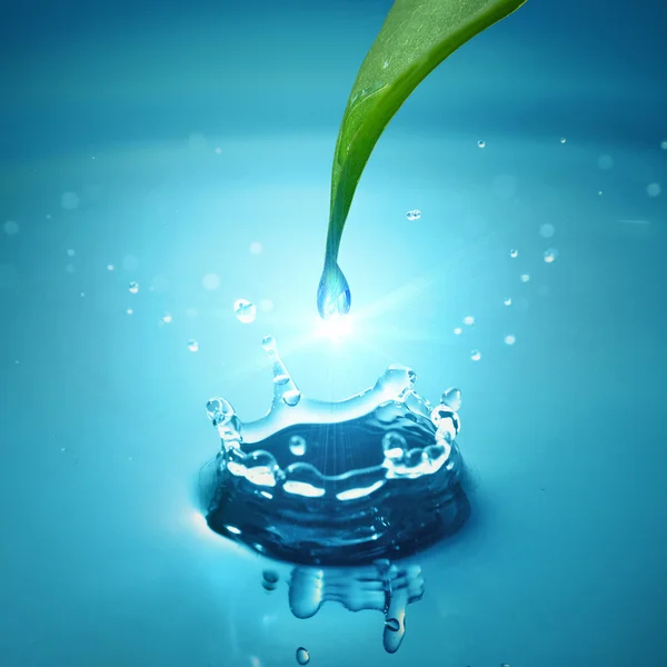Foglia verde con goccia d'acqua — Foto Stock