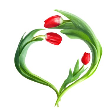 Heart from red tulips isolated on white clipart