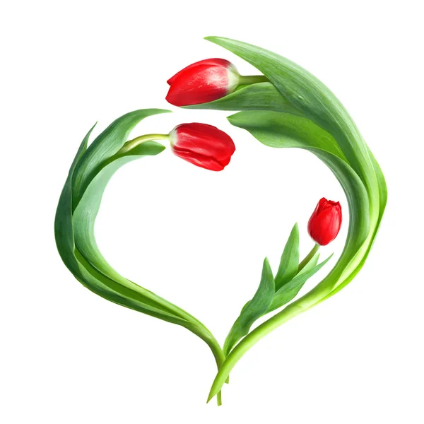Серце з червоних тюльпанів ізольовано на білому — стокове фото