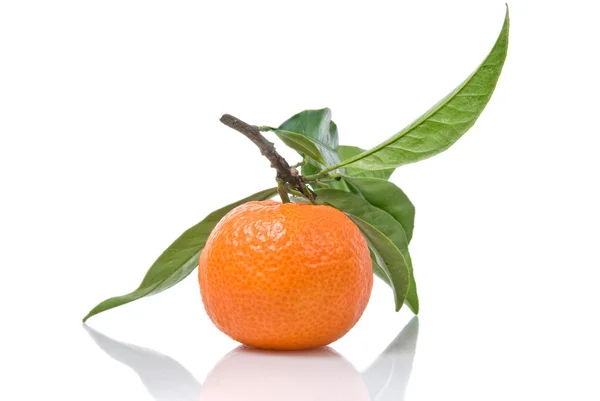 Mandarin med gröna blad isolerade på vitt — Stockfoto