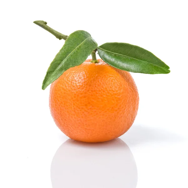 Mandarin, fehér alapon izolált zöld levelekkel — Stock Fotó