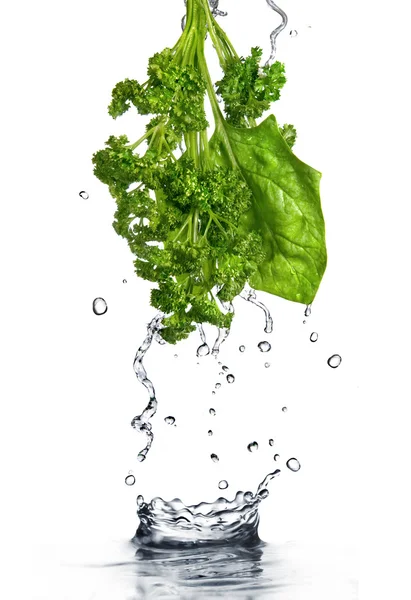 Капли воды на зеленый шпинат и петрушку — стоковое фото