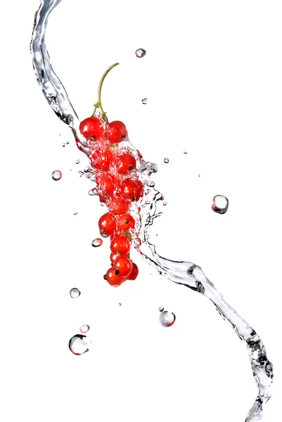 Röda vinbär och vatten droppar — Stockfoto