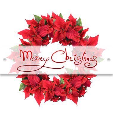 Christmas flower clipart