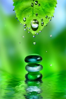 Balancing spa shiny stones with leaf and water drops clipart