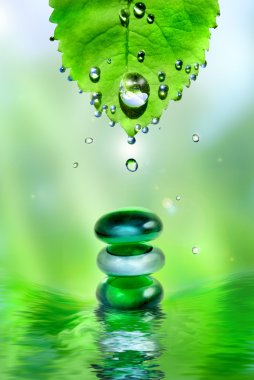 Balancing spa shiny stones with leaf and water drops clipart