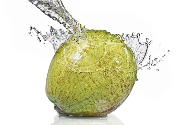 Grüne Kokosnuss mit Wasserspritzer — Stockfoto