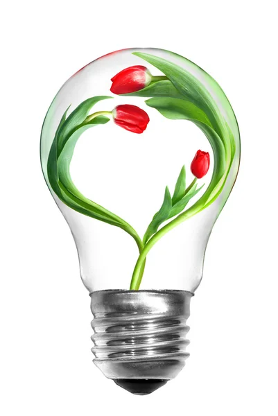 Лампочка с сердцем тюльпанов — стоковое фото