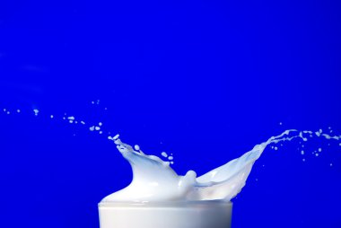 Milk splash clipart