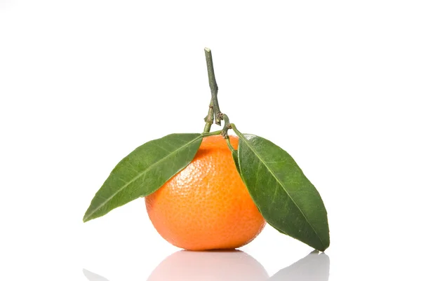 Tangerine met groene bladeren geïsoleerd — Stockfoto