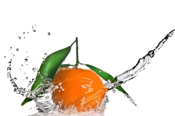 Mandarinka zelených listů a vodou — Stock fotografie