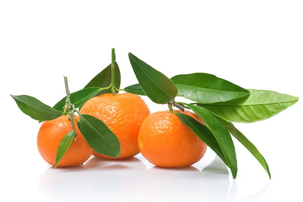 Tangerines with green leaves — Stock Photo, Image