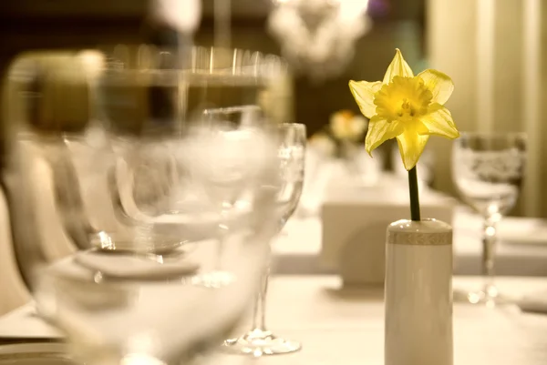 Скляні горщики з квіткою на столі — стокове фото