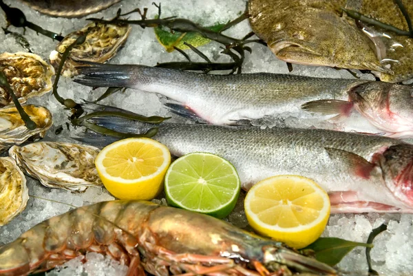 stock image Fresh frozen fish with oysters, lobster and lemons in ice