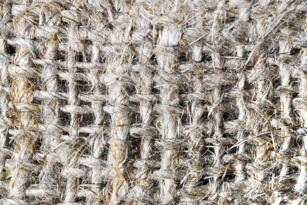 Macro de textura de serapilheira — Fotografia de Stock