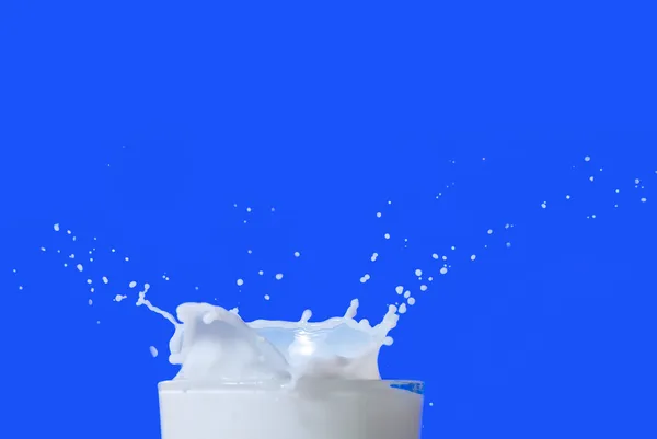 Latte spruzzato isolato su blu — Foto Stock