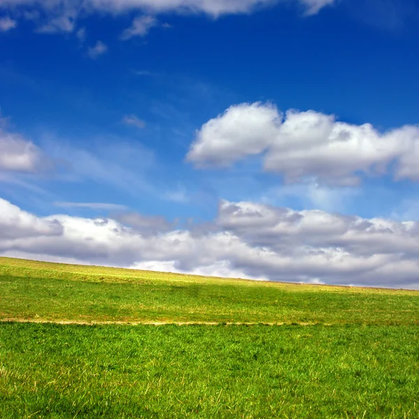Campo verde contra céu azul e nuvens — Fotografia de Stock