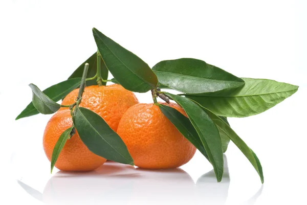 Tangerines with green leaves — Stock Photo, Image