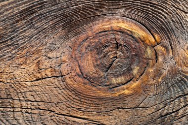 Wood texture clipart