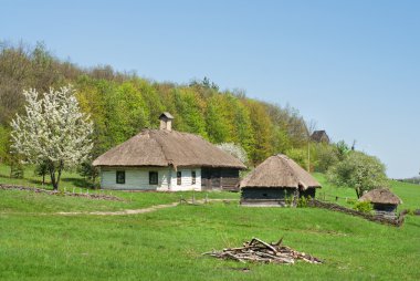 Yeşil orman karşı eski evleri