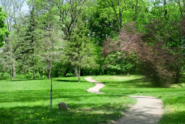 Green park in spring clipart