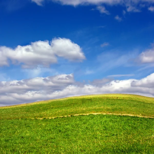Zielone pole przeciw błękitne niebo i chmury — Zdjęcie stockowe