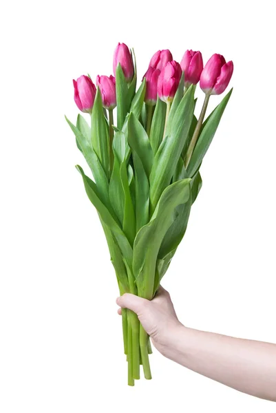 Mão com buquê de tulipas rosa — Fotografia de Stock