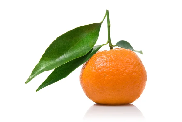 Mandarin zöld levelekkel — Stock Fotó