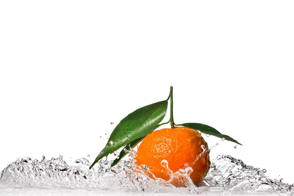 Mandarin a zöld levelek, és a víz csobbanás — Stock Fotó